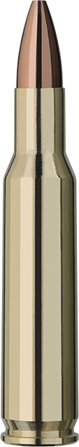 RWS .222 Rem. Match Jagd 3,4g/52gr RWS .222 Rem. Match Jagd 3,4g/52gr