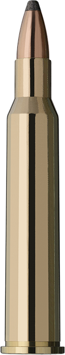 RWS 5,6x50 R Mag. Teilmantel-S 4,1g/63gr