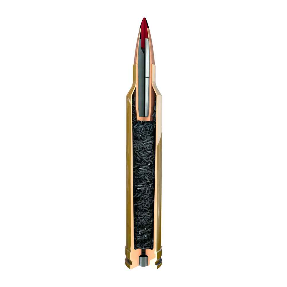 Article-ca2d8c2c-fa58-4bdc-892a-a40c8a64ee47_server (6).jpg HORNADY .270 Win. Precision Hunter ELD-X 9,4g/145gr