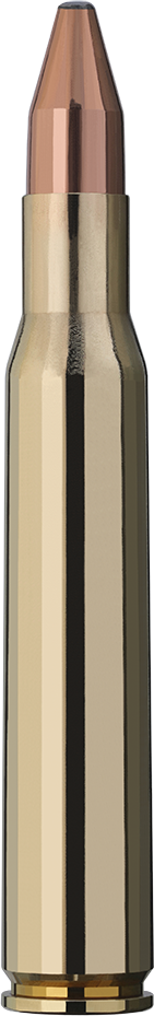 RWS .30-06 Spr. Kegelspitz 10,7g/165gr RWS .30-06 Spr. Kegelspitz 10,7g/165gr