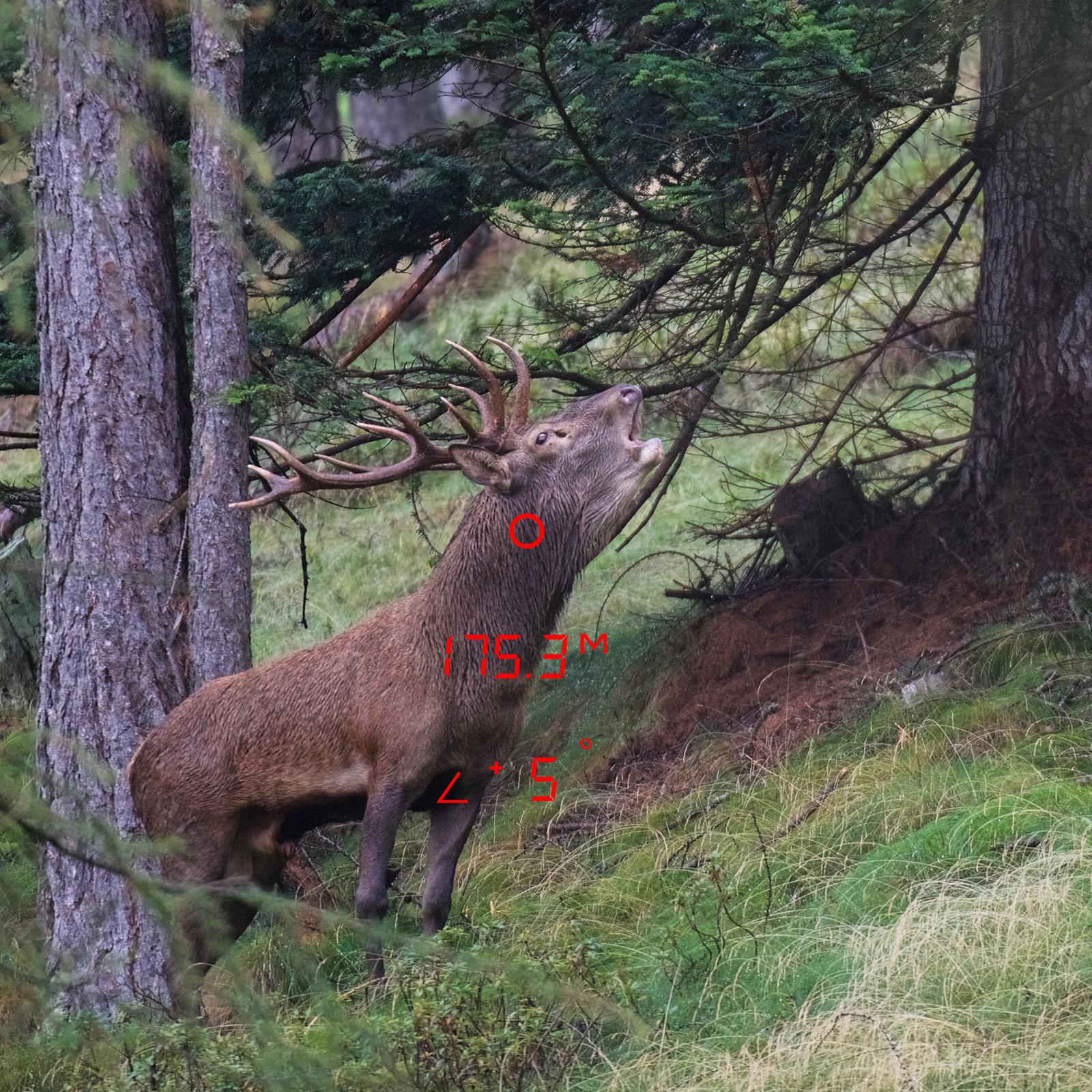GPO Rangeguide 2800 8x50 GPO Rangeguide 2800 8x50