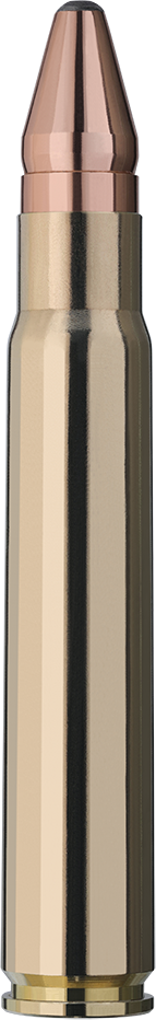 RWS 9,3x62 Doppelkern 14,6g/225gr